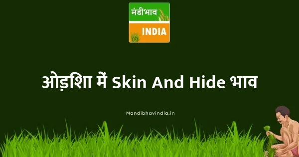 Skin And Hide भाव